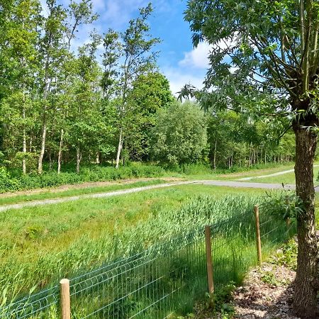Wellnesshuis Met Hottub, Ligbad En Grote Tuin Villa Tzummarum Luaran gambar